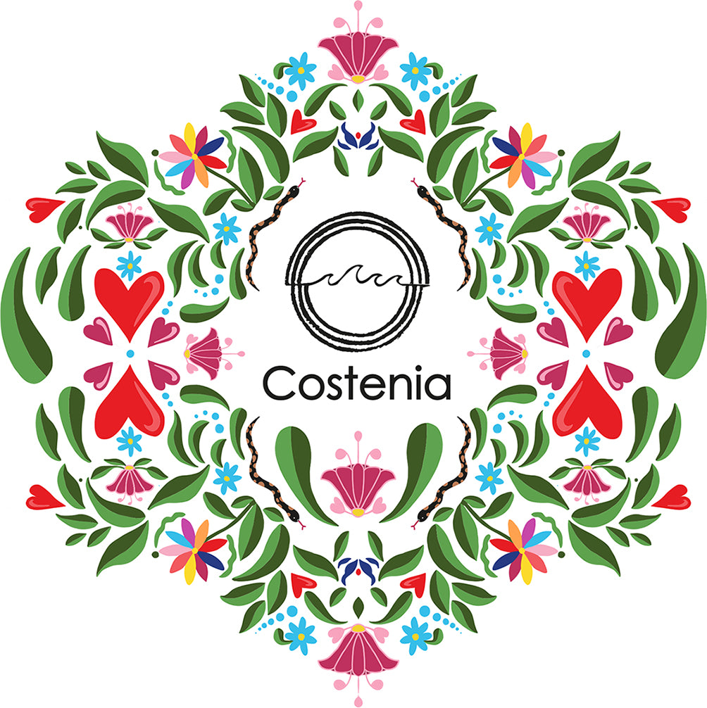 STICKER COSTENIA FLORIDA