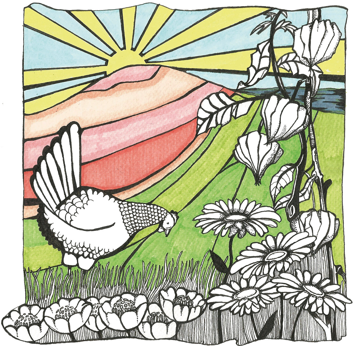 ILUSTRACIÓN The Hills