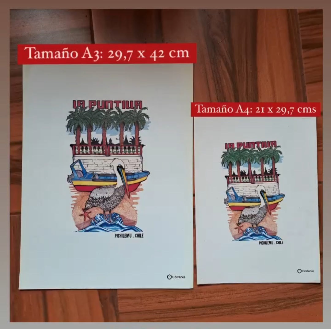 Lámina "Panamericanos de Surf 2023"