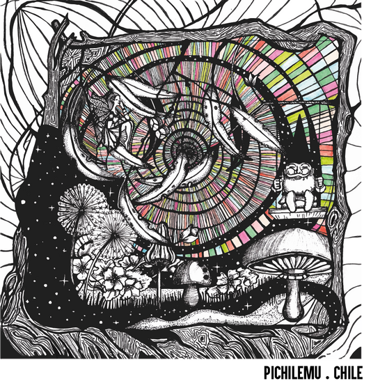 ILUSTRACIÓN Bosque Mágico