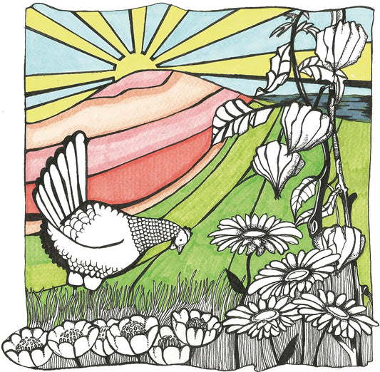 ILUSTRACIÓN The Hills